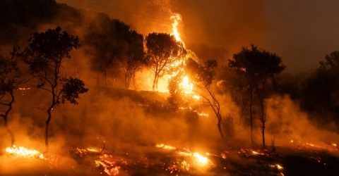 Ciğerlerimiz yanıyor...