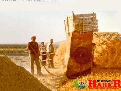 Cırcır ile Sap sürme