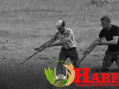 Tırpan ile Ekin biçme