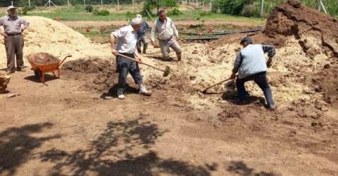 Yaşamın Türkmen Hali